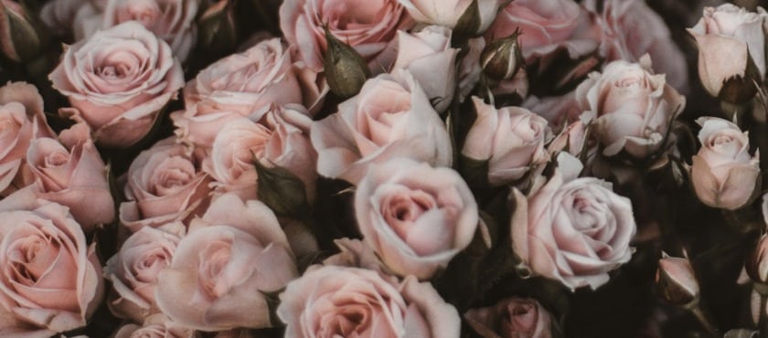 Gutscheincode Blume2000