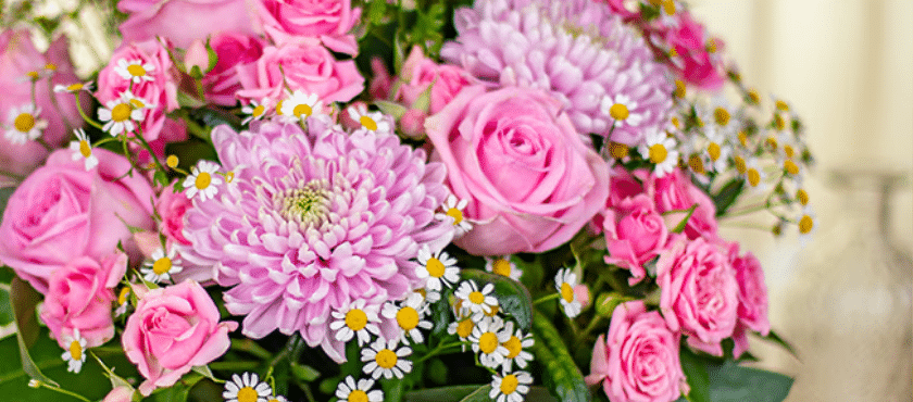 Gutscheincode euroflorist