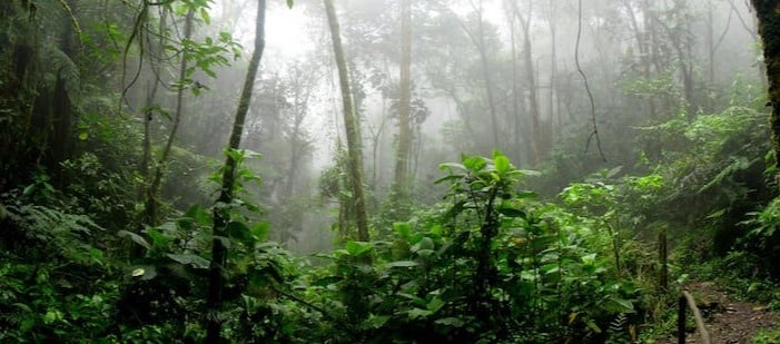 Gutscheincode Headout