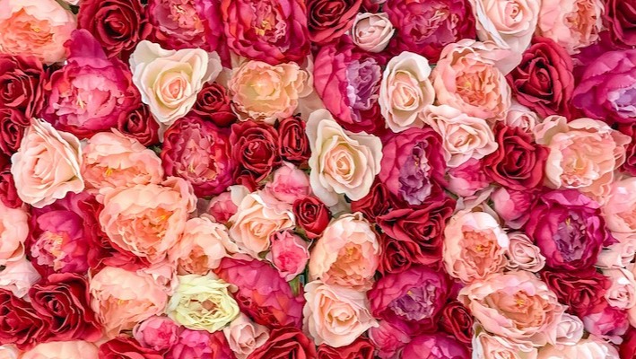 hugendubel-gutschein