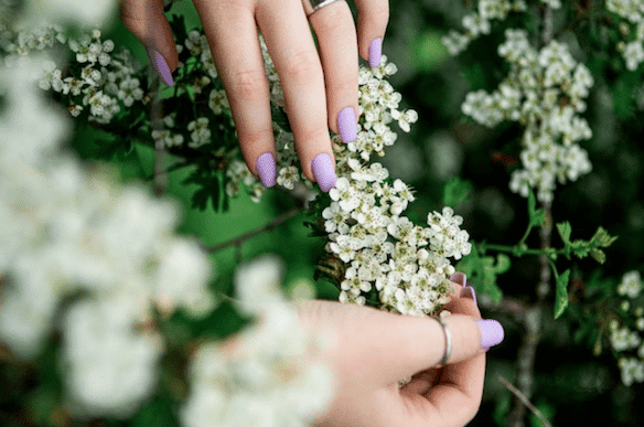 miss-sophie-gutschein