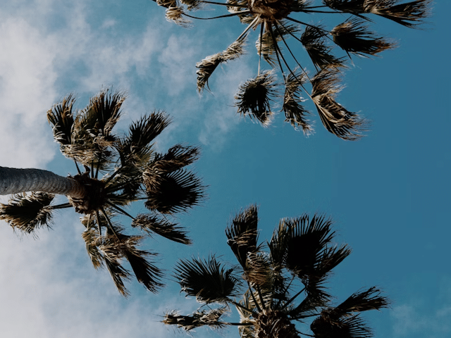 rabatt-urlaub-gutschein