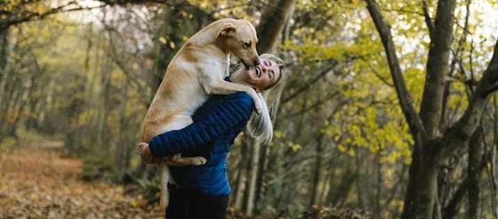 Gutscheincode Weenect